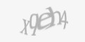 Защитный код