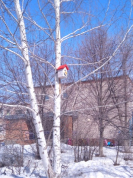 1 скворечник