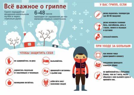 vse vazhnoe o grippe 1024x725