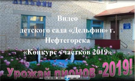 video 2019